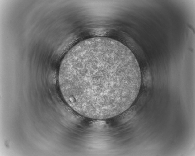 X0000103900374200810031155