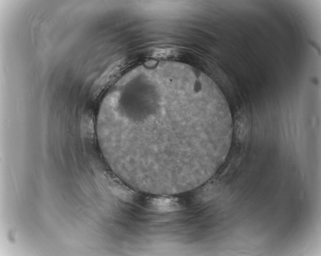 X0000103900375200810031155