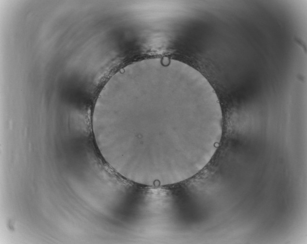 X0000103900376200810031155