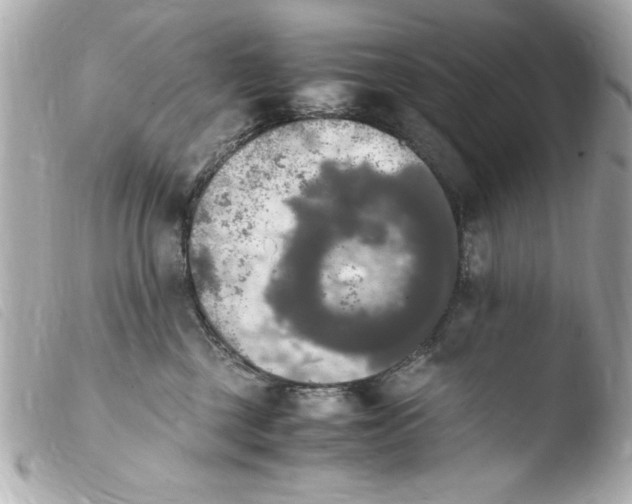 X0000103900377200810031155