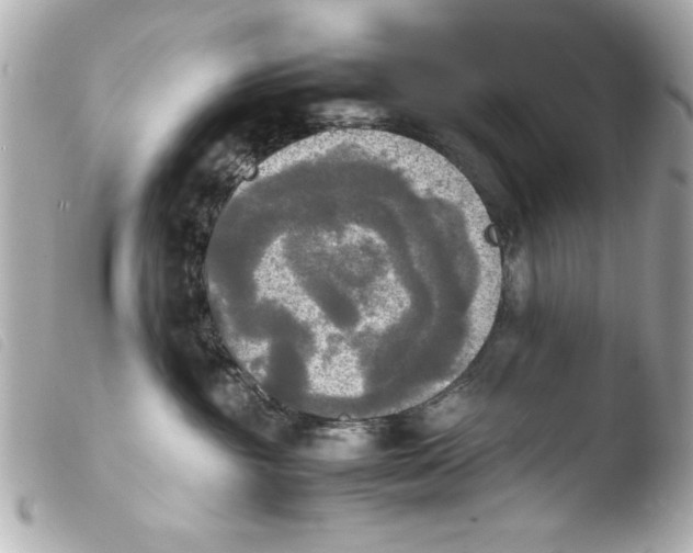 X0000103900381200810031155