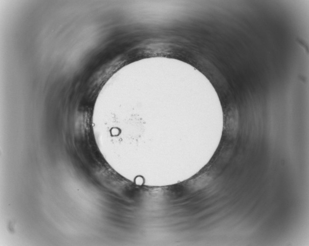 X0000103900382200810031155