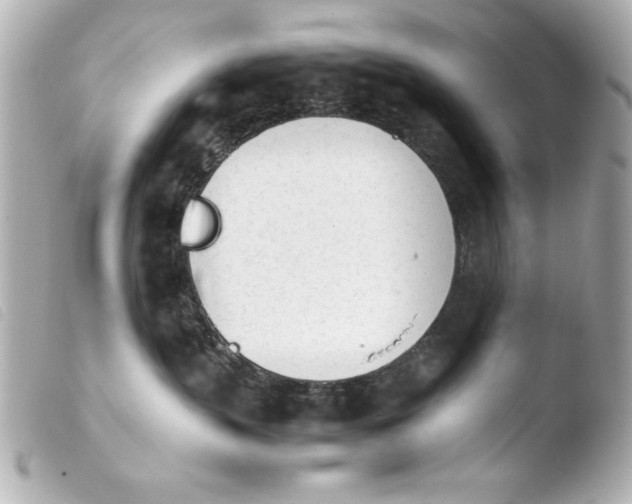 X0000103900383200810031155