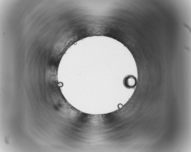 X0000103900384200810031155