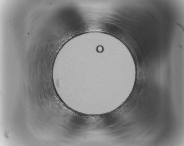 X0000103900385200810031154