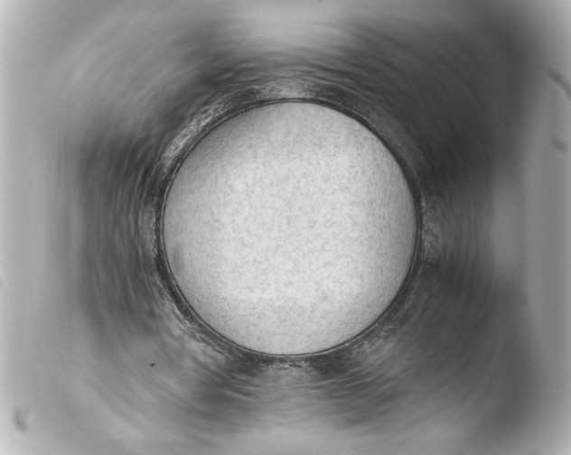 X0000103900386200810031154