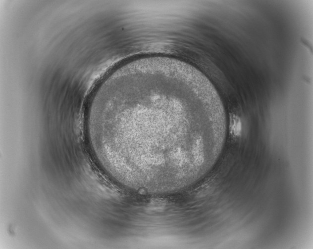 X0000103900388200810031154