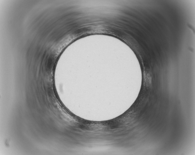 X0000103900389200810031154