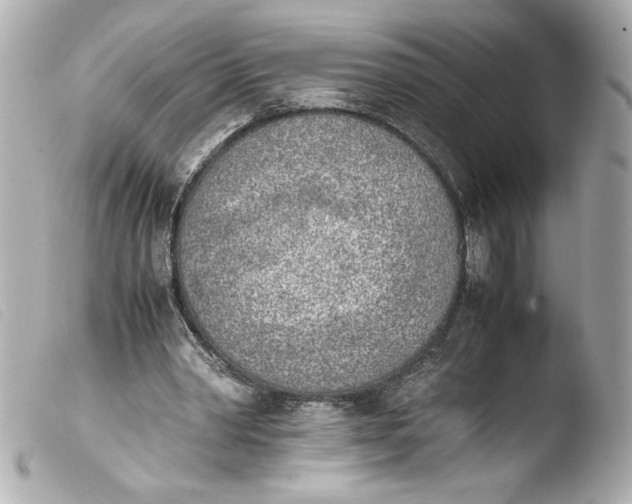 X0000103900390200810031154