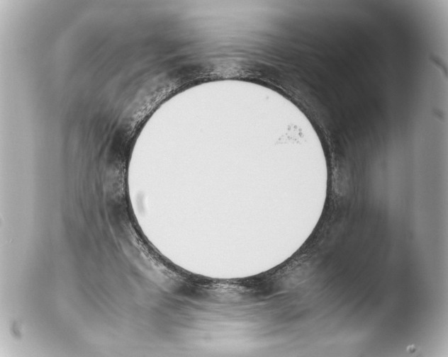 X0000103900393200810031154