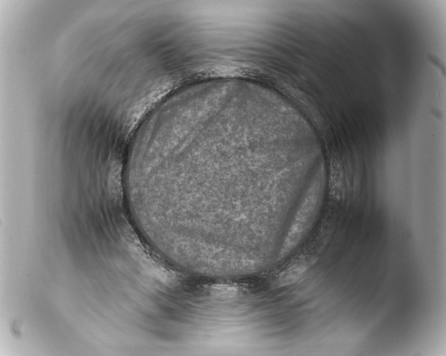 X0000103900394200810031154