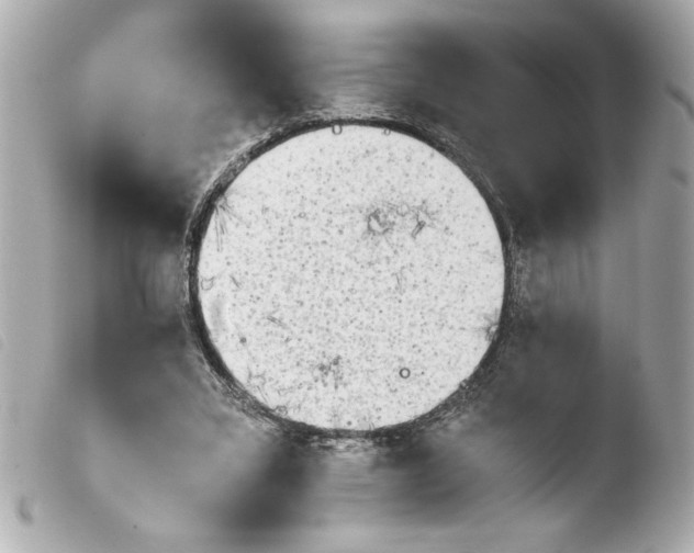 X0000103900395200810031154