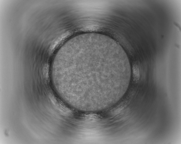 X0000103900396200810031154