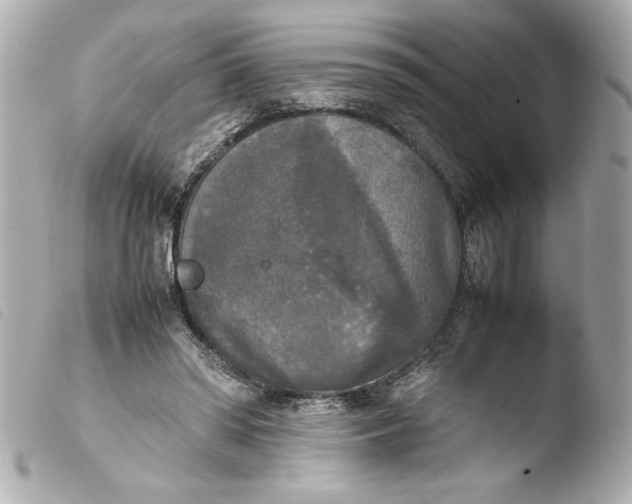 X0000103900398200810031154