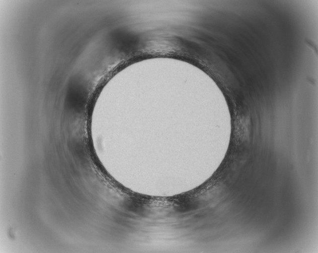 X0000103900399200810031154