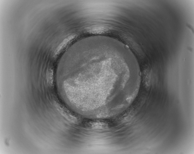 X0000103900400200810031154