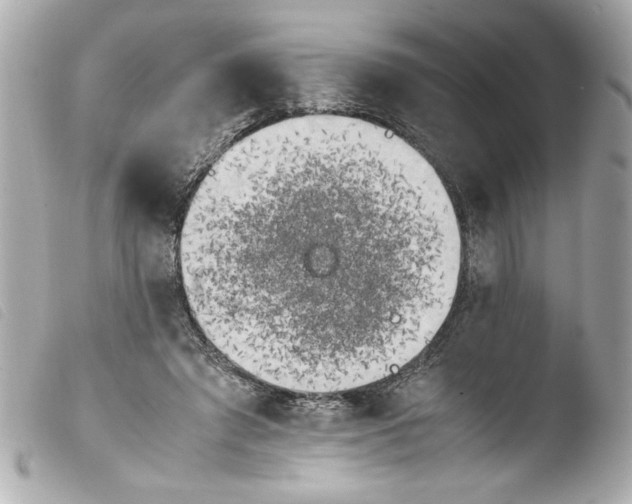 X0000103900401200810031154