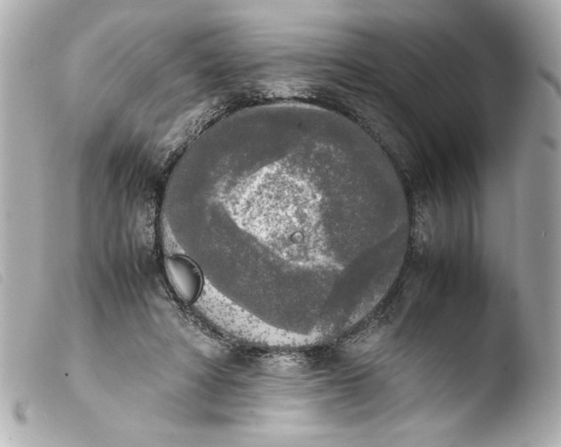 X0000103900402200810031154