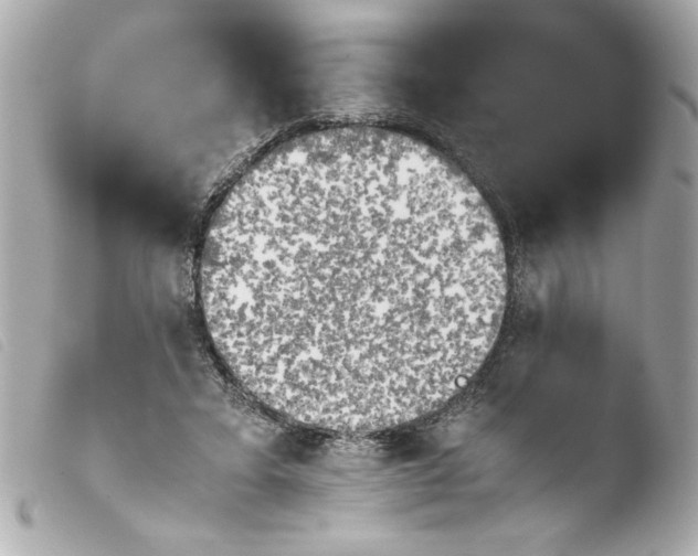 X0000103900403200810031154