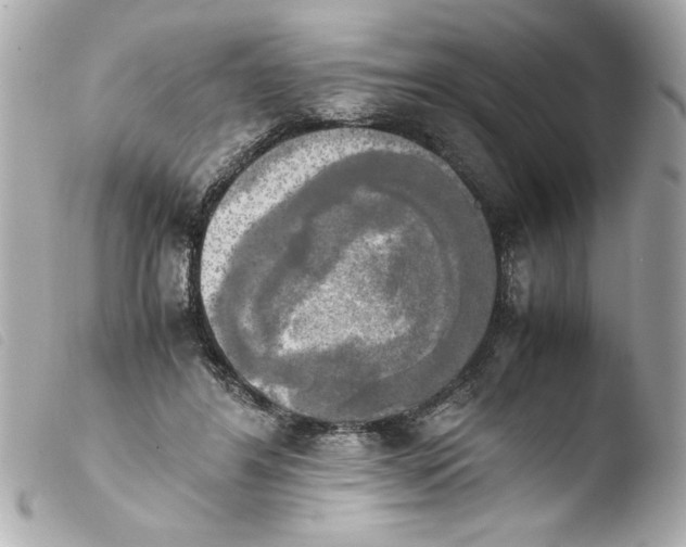 X0000103900404200810031154