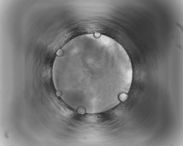 X0000103900405200810031154