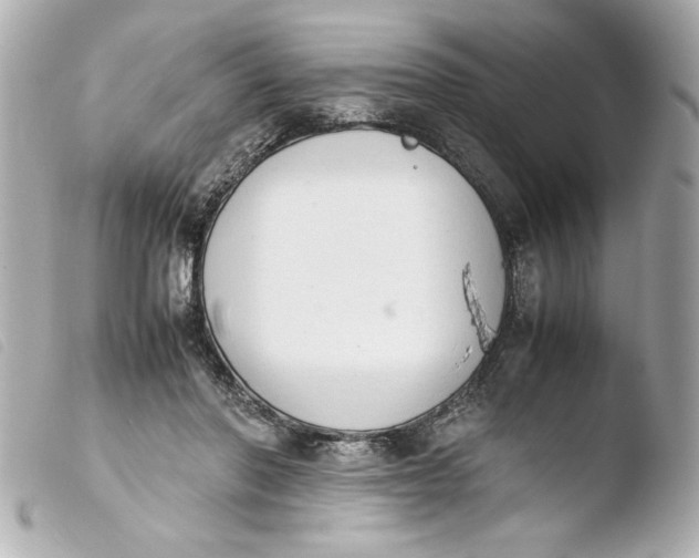 X0000103900406200810031154