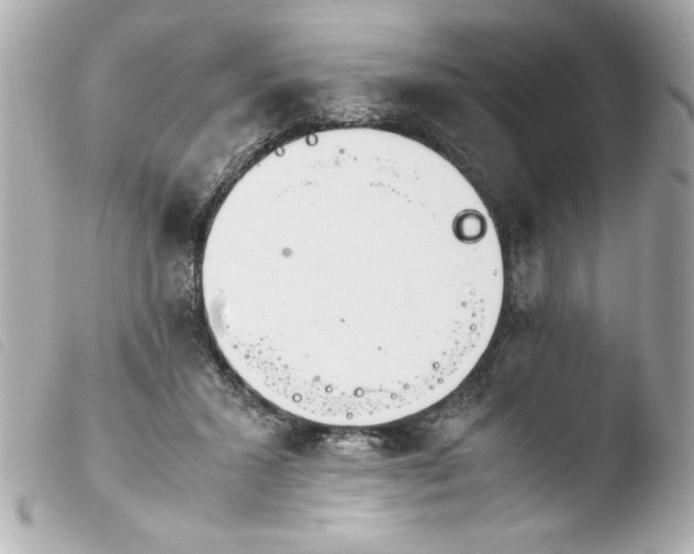 X0000103900407200810031154