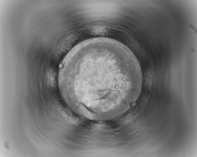 X0000103900408200810031154