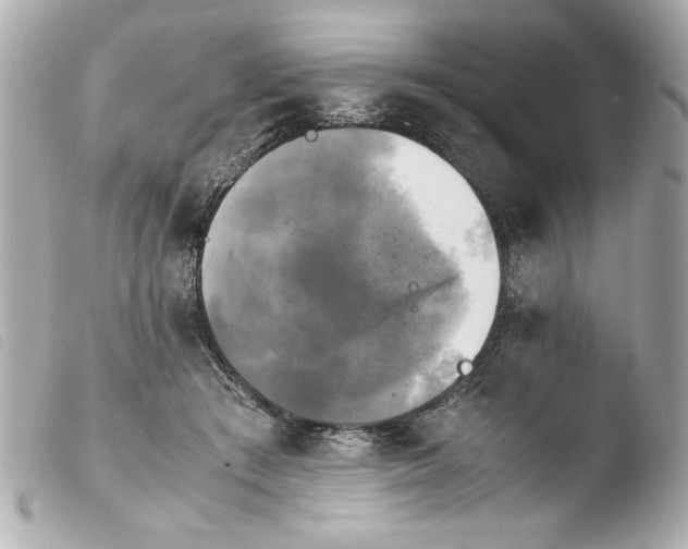 X0000103900409200810031154