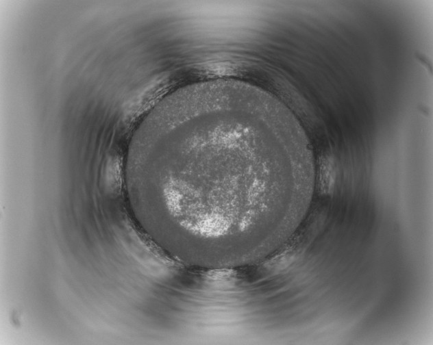 X0000103900410200810031154