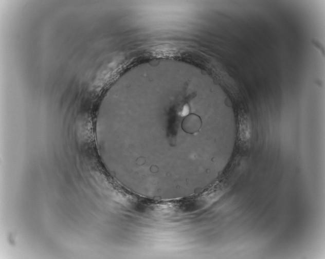 X0000103900411200810031154