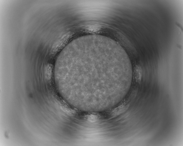 X0000103900412200810031154