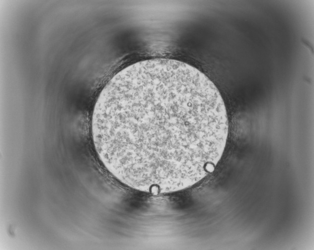 X0000103900413200810031154