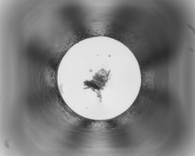 X0000103900414200810031154