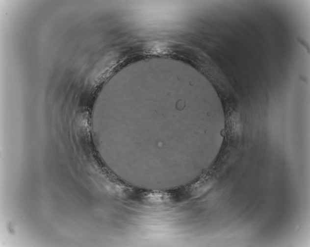 X0000103900415200810031154