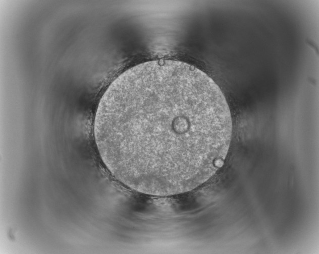 X0000103900417200810031154