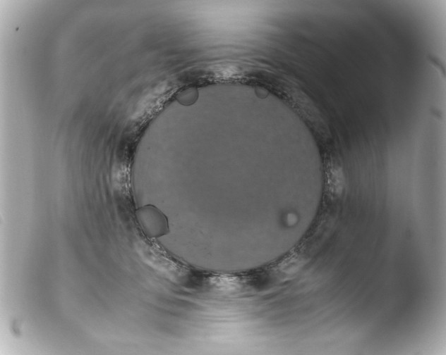 X0000103900419200810031154