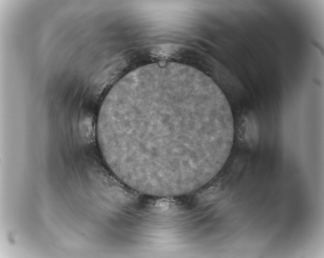 X0000103900420200810031154