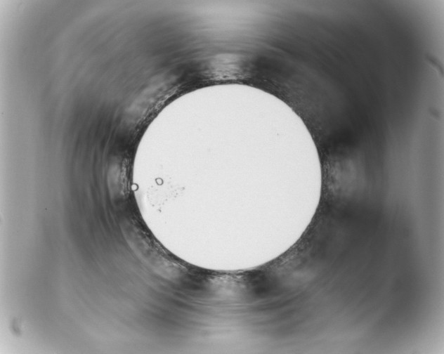 X0000103900422200810031154