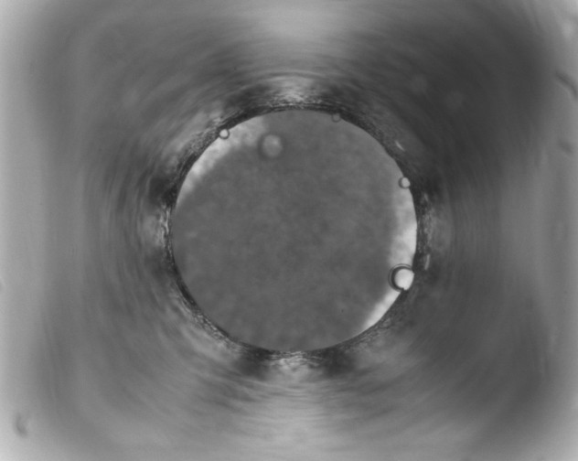 X0000103900423200810031154