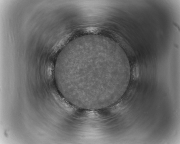 X0000103900424200810031154