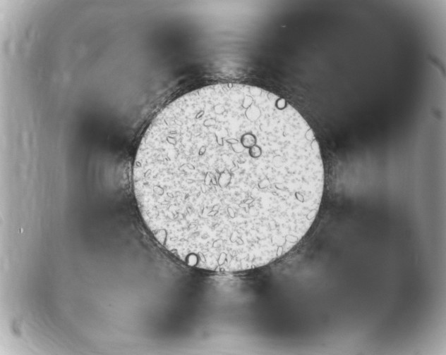 X0000103900425200810031154