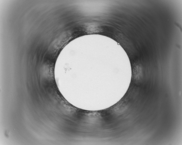 X0000103900426200810031154