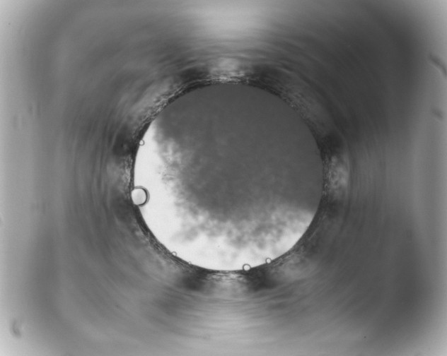 X0000103900427200810031154