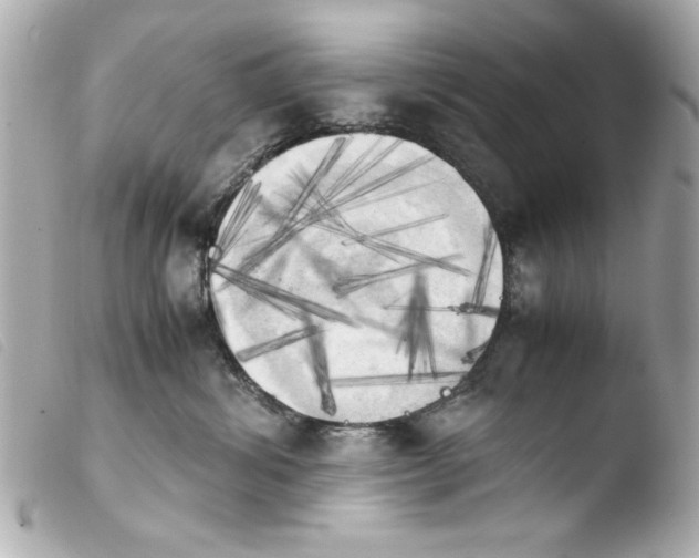 X0000103900428200810031153