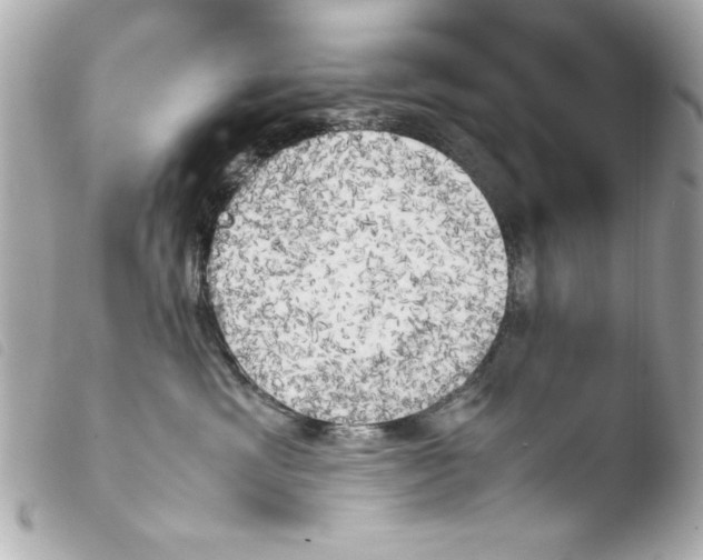 X0000103900429200810031153