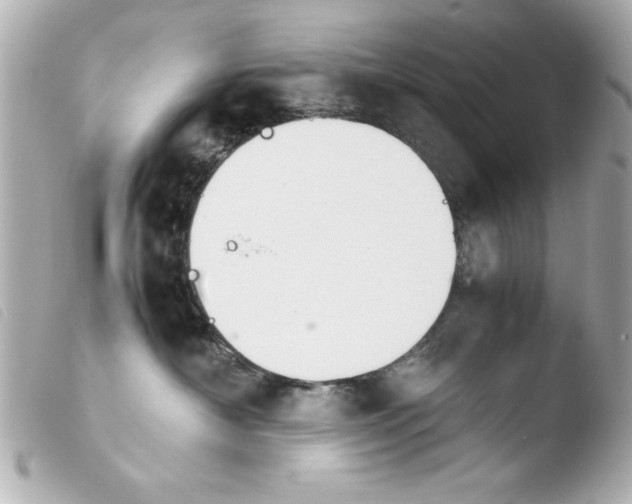 X0000103900430200810031153