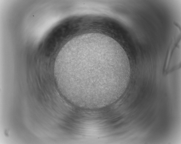 X0000103900431200810031153