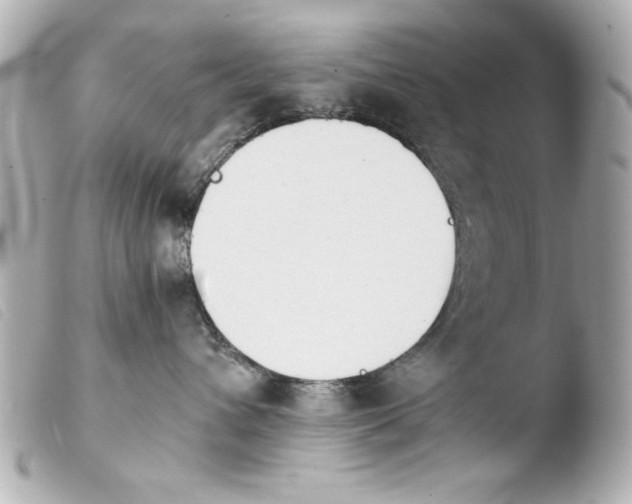 X0000103900432200810031153