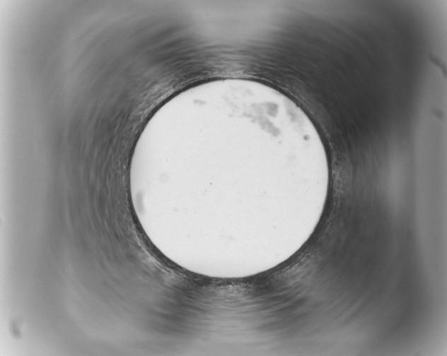 X0000103900433200810031152